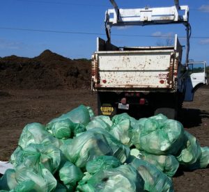 EarthHero | BioBag Plant Based Plastic | 7 Steps to Ditch Plastic