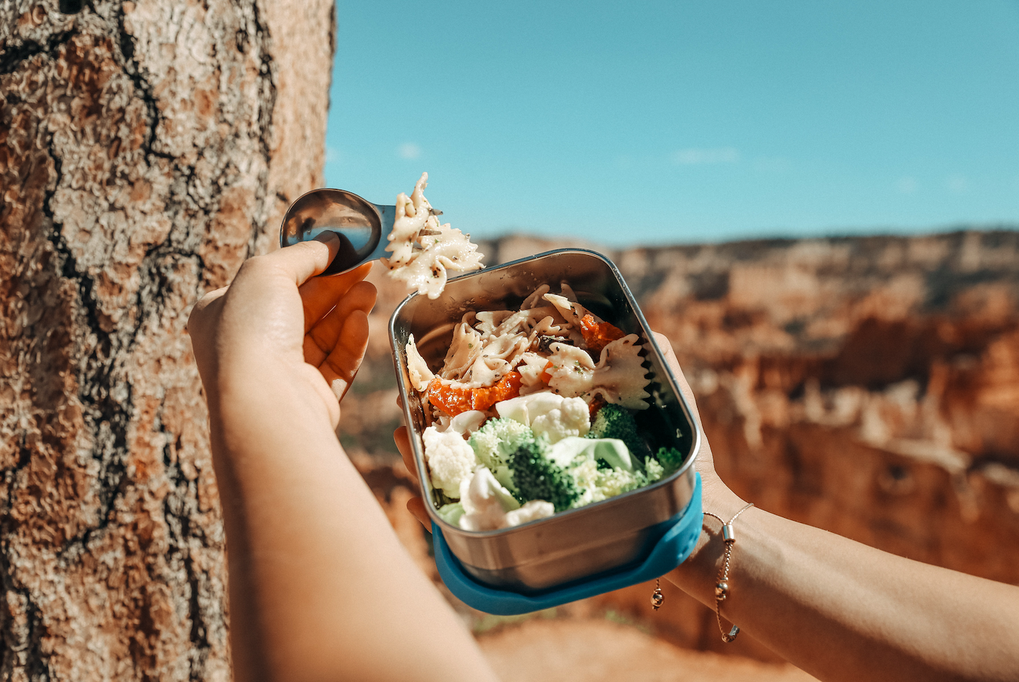 ECOlunchbox 3-in-1 Giant Stainless Steel Lunchbox