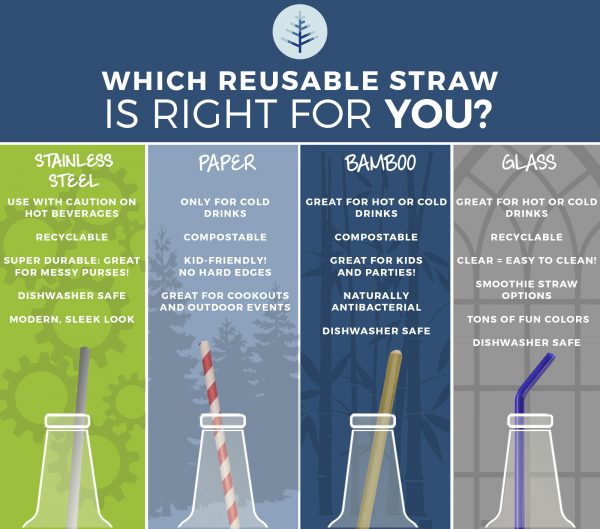 Which Reusable Straw is Best for You Learn on the EarthHero Blog