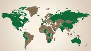 WILD Foundation Non-Profit Spotlight EarthHero