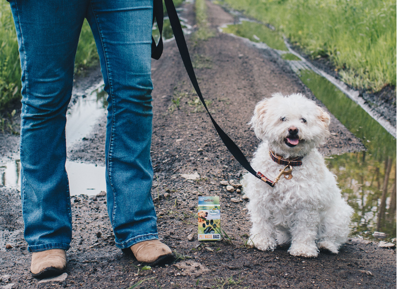 biobag compostable dog waste bags