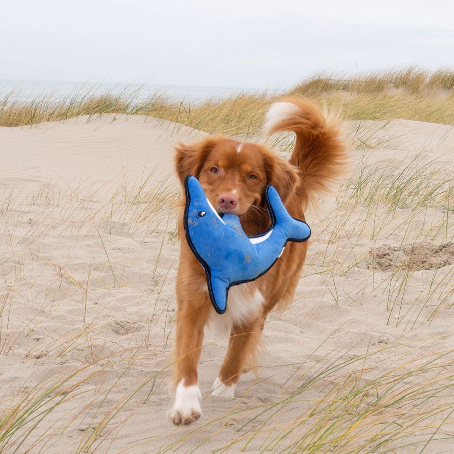 Dolphin Rough & Tough Dog Toy Beco Pets EarthHero