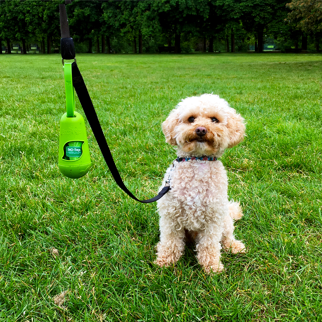 poop bag that attaches to dog