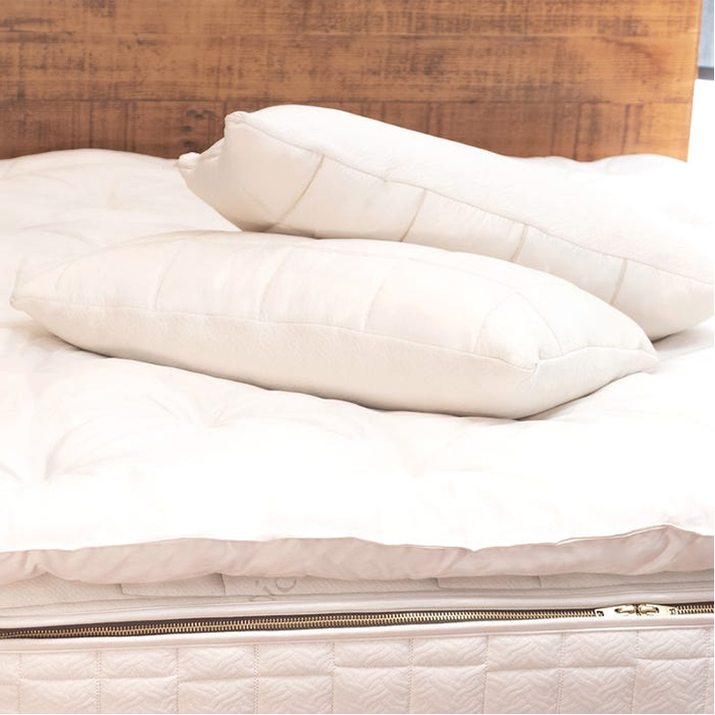 2in1 Organic Shredded Latex Pillow Shop on