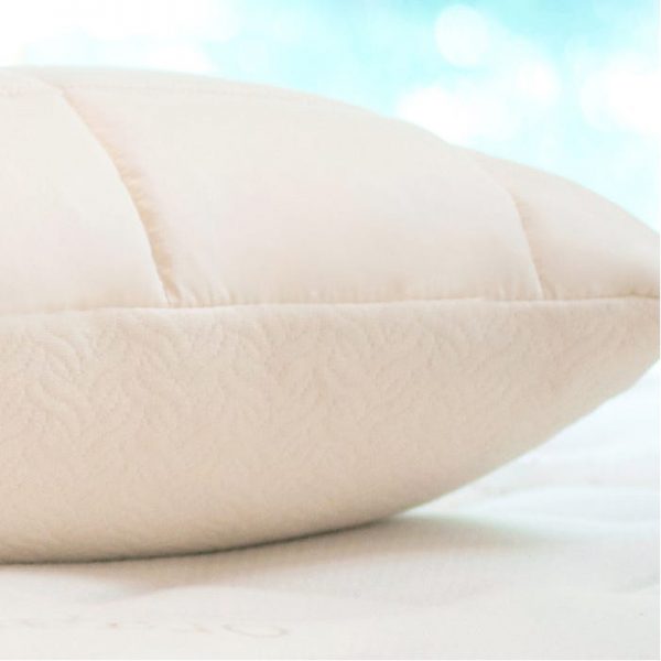 2in1 Organic Shredded Latex Pillow Shop on