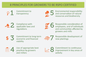 sustainable palm oil, palm oil, EarthHero, RSPO, eco-friendly