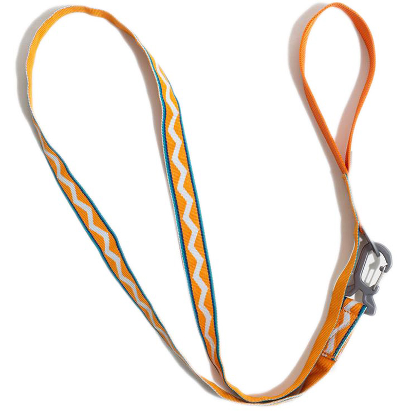 recycled dog leash