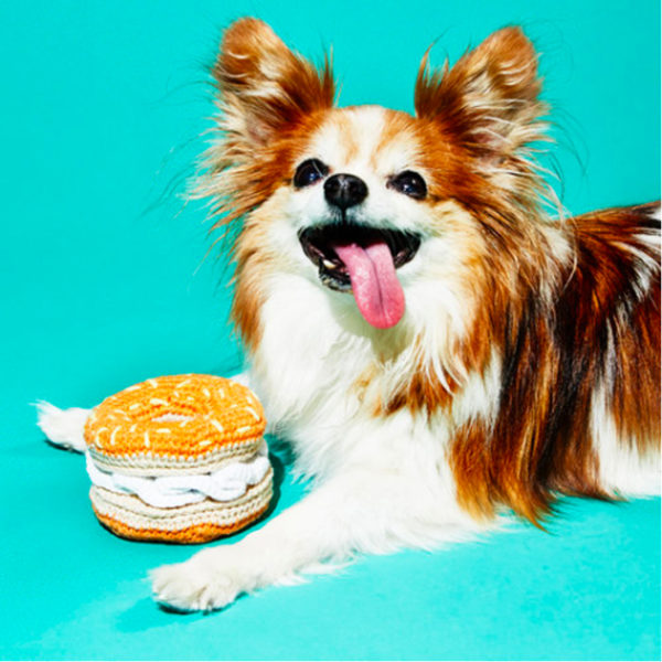 Hand Crochet Bagel Dog Toy Ware of the Dog EarthHero