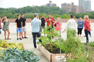 Sustainable Living in College