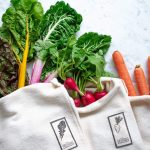 21 Eco-Friendly Products for 2021 | EarthHero Blog
