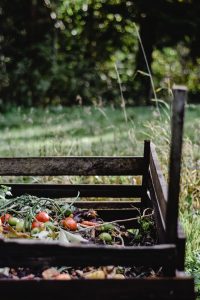 Easy Sustainability Resolutions for 2021 | EarthHero Blog
