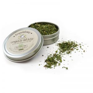 10 Eco-Friendly Pet Treats and Toys | EarthHero Blog | Sustainable Living