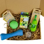10 Eco-Friendly Pet Treats and Toys | EarthHero Blog | Sustainable Living