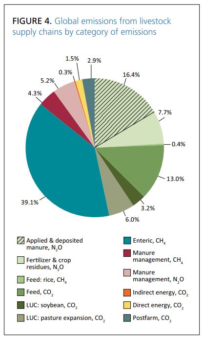 Graph displaying livestock supply chain emissions based on category | How The Products You Buy and The Food You Eat Can Impact the Environment | EarthHero | vegan