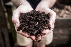 Compostable vs Recycled Content Single-Use Products BioBag Green Polly EarthHero