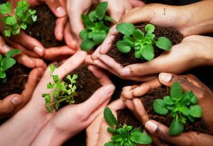 Regional Differences in Sustainability | EarthHero Blog