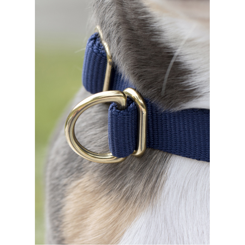 Pack Dog Collar Awoo Pets EarthHero