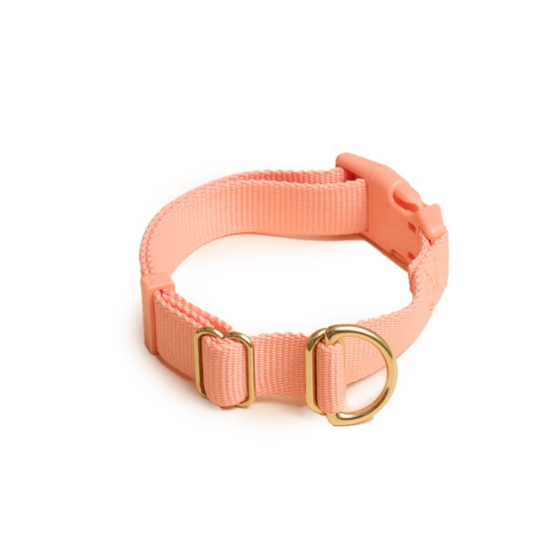 Pack Dog Collar Awoo Pets EarthHero