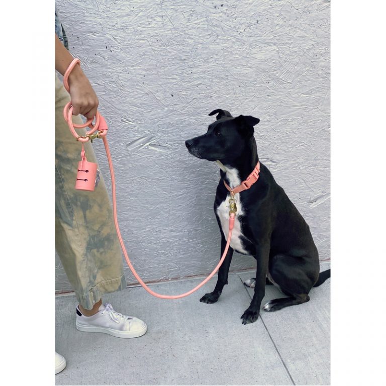 AwPoo Dog Bag Holder Awoo Pets EarthHero