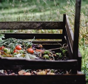 How To Start a Compost Pile in Your Backyard | EarthHero Blog