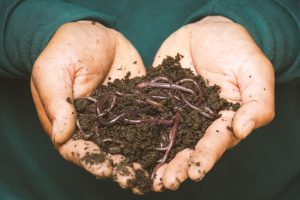 Home Composting | EarthHero Blog