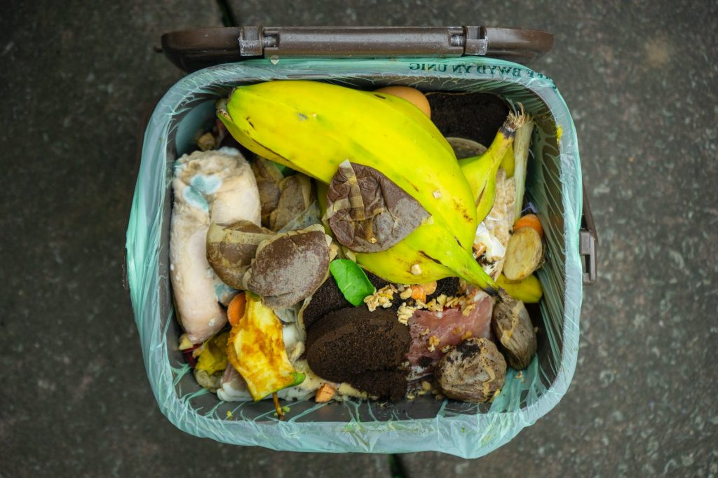 Home Compost | EarthHero Blog