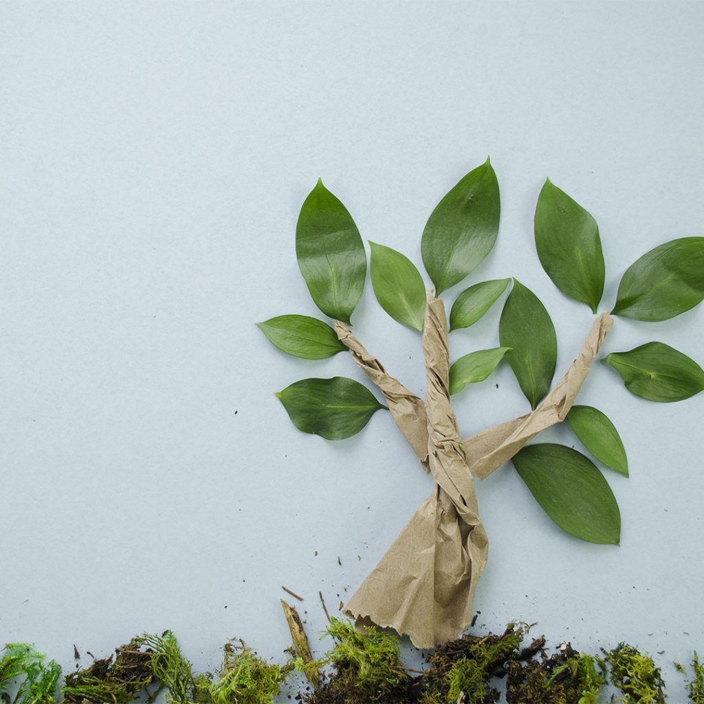 10 Ways to Celebrate Earth Month | EarthHero