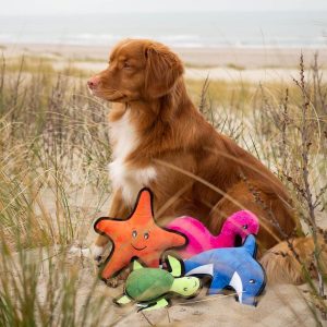 The rise of the conscious dog owner | Beco Pets | EarthHero Blog