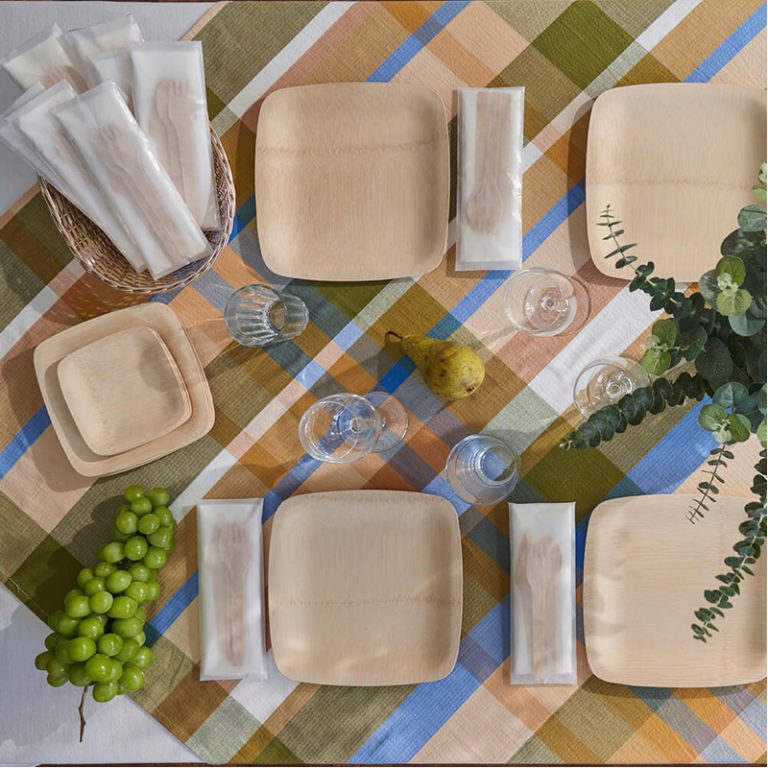 Veneerware Compostable Bamboo Plates 9" 8pk bambu EarthHero